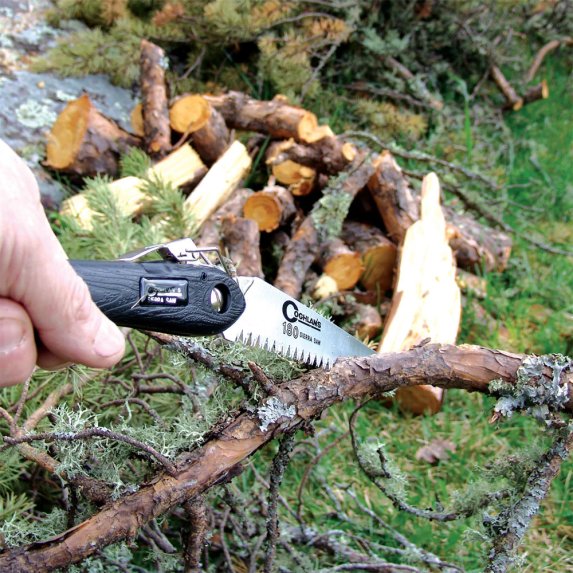 Coghlan's Sierra sag