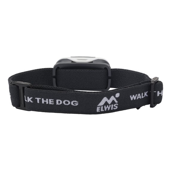 Elwis Focus 'Walk the Dog' otsalamppu