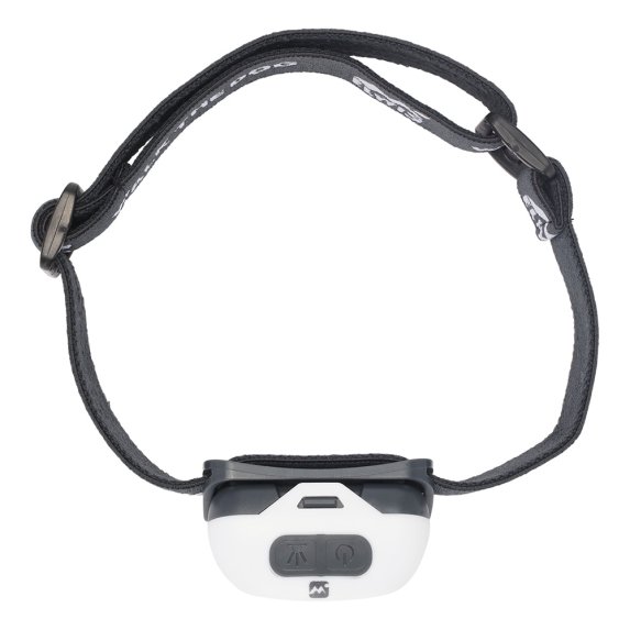 Elwis Focus 'Walk the Dog' otsalamppu