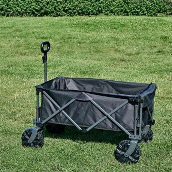 Isabella Beachtrolley 