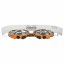Jetboil Genesis Basecamp System � Isobutane