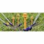 Peggy Peg Screw-in pegs