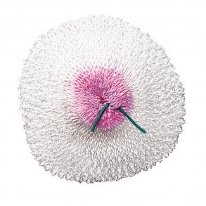 Hehkusukka kaasulyhtyyn